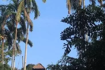 Hotel La Habana Amazon Reserve