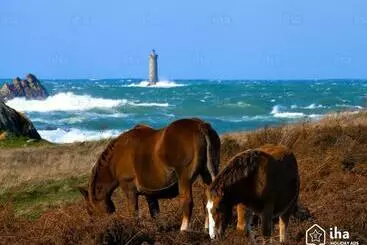 Pension Chambres D Hôtes Le Nid D Iroise