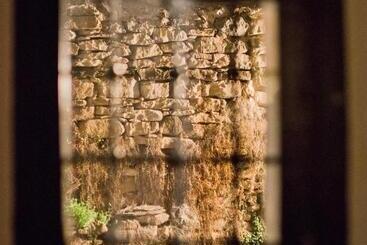 پانسیون The Lion's Residence