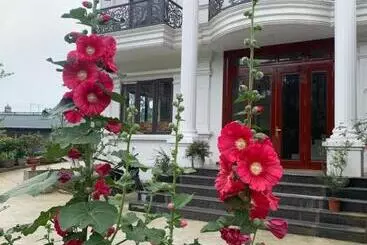پانسیون The 1996 House
