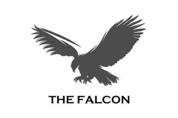 Falcon Hotel Motel