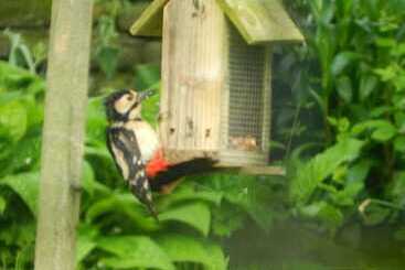 茅舍 Cosy 5m Bell Tent Glamping In Rural Herefordshire