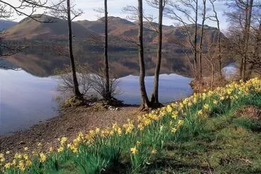 Pensiune The Brantwood