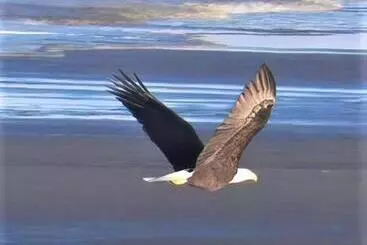 ホテル Chautauqua Resort & Conference Center