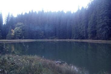 פנסיון садиба у власія