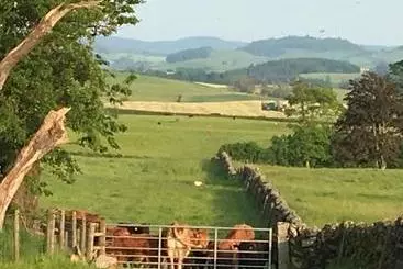 Pensió Chipperkyle Country House B&b