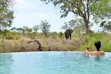 Отель Hoyo Hoyo Safari Lodge