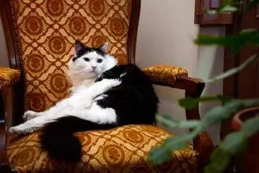 Hotel Hôtel Héliot, Cosy Places By Charme & Caractère