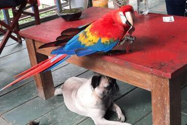 בית מלון כפרי Cabañas Alto Del Aguila