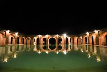 Resort Welcomheritage Bal Samand Lake Palace
