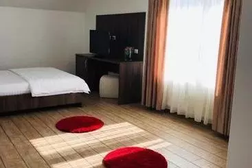 Pensiunea Montana Borșa Mm