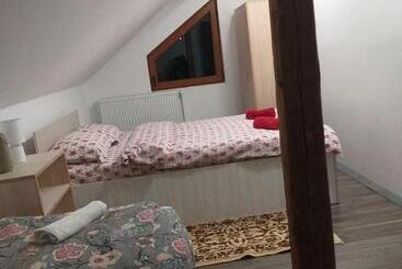 ホテル Pensiunea Floare De Colt