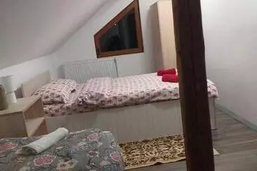 Hotel Pensiunea Floare De Colt