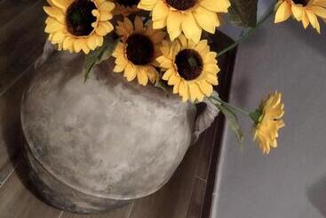 Agriturismo B&b Il Girasole