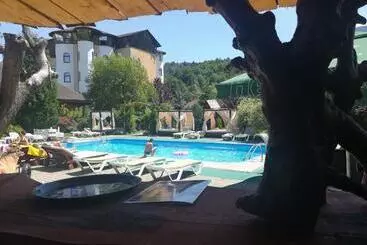 Hotel Castelul De Vis