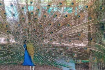 Aparthotel Complejo Los Enamorados