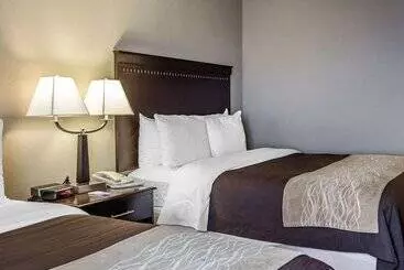 ホテル Comfort Inn & Suites Near Tinley Park Amphitheater