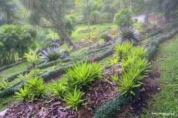 Hotelli Las Cruces Biological Station
