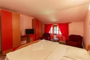 Pension (Hôtel basse catégorie) Casa Dintre Munti Karina