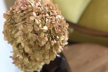 Aparthotel Boutique Rezidence Baar