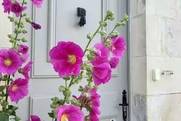 ペンション La Martinoise Patio