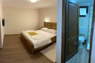 ペンション Hanul Ursilor