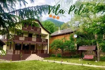 Pension Vila Pelin
