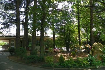 בית מלון כפרי Pagoda