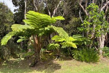 تختخواب و صبحانه Kilauea House