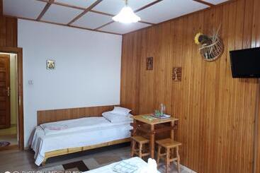 פנסיון Casa Rodica Str. Clabucetului 28