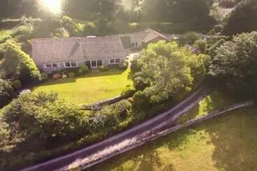 Bed and Breakfast The Willows