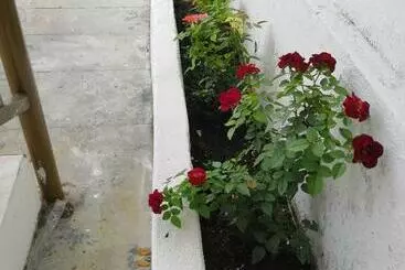 ペンション Jsw Inn