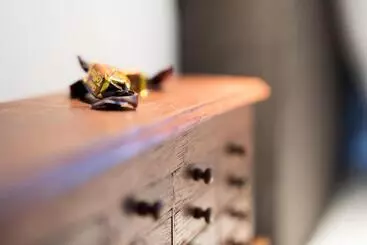 Hotelli Zur Burgstiege