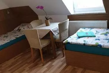 Pension Haus Baron 1 Neckarau