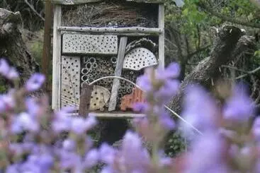 Bed and Breakfast Mas De L Ermitage