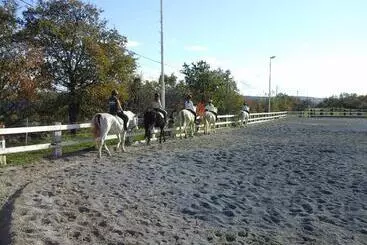 هتل Kmetija Medljan