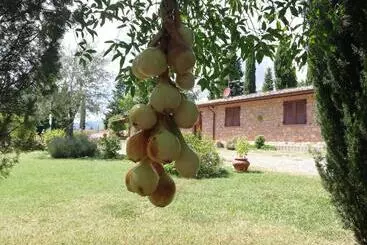ホテル Agriturismo Collomici