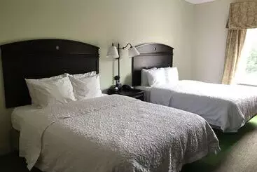 ホテル Hampton Inn Vidalia