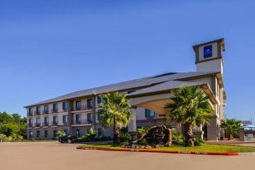 ホテル Americas Best Value Inn & Suites Livingston