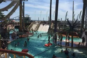 Bird Of Paradise Motel