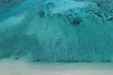 Hotel Minshuku Robinson