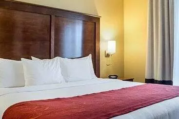هتل Comfort Suites Medical Center