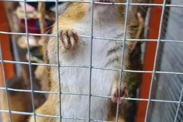 Hideaway Escapes, Farmhouse B&b & Holiday Home, Ideal Family Stay Or Romantic Break, Friendly Animal