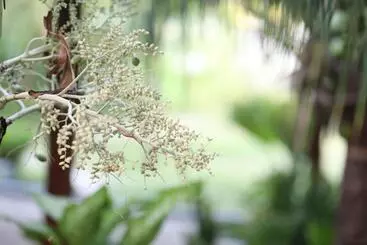 Pensione Aqua Blu Thoddoo