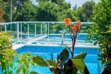 Отель House Kata