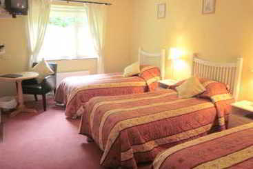 Bed and Breakfast Pine Forest House