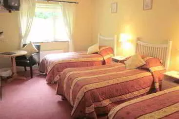 Bed and Breakfast Pine Forest House