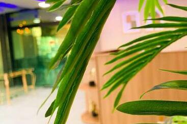 Отель Atlântico Sul