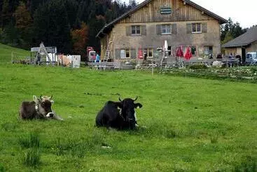 ホテル Jausenstation Neuschwand