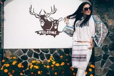 Pensione Vila Stefana Paltinis